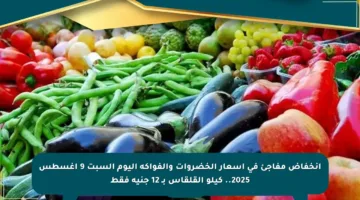 انخفاض مفاجئ في أسعار الخضروات والفواكه اليوم السبت 9 أغسطس 2025.. كيلو القلقاس بـ 12 جنيه فقط